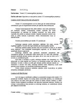 Отчёт по практике 'Radiologa asistenta prakses dienasgrāmata', 19.
