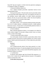 Дипломная 'SIA "LBK Invest" saimnieciskās darbības analīze un pilveidošanas virzieni.', 36.
