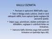 Презентация 'Kallu dzimta', 2.