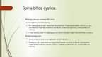 Презентация 'Spina bifida - fzioterapija', 5.