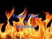 Реферат 'Forest Firesor Wildfires', 1.