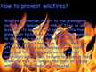 Реферат 'Forest Firesor Wildfires', 3.
