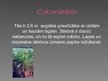 Презентация 'Pārtikā izmantojamie Dienvidamerikas augi', 10.