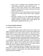 Реферат 'Fotosalona ekonomiskās darbības plānošana un analīze', 16.