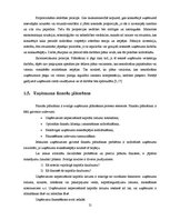 Реферат 'Fotosalona ekonomiskās darbības plānošana un analīze', 21.