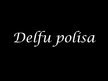 Презентация 'Delfu polisa', 1.