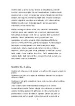 Отчёт по практике 'PEDAGOĢISKĀ PROCESA VĒROJUMU PRAKSE', 23.