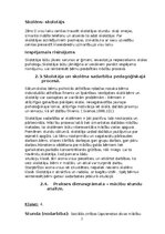 Отчёт по практике 'PEDAGOĢISKĀ PROCESA VĒROJUMU PRAKSE', 27.