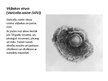 Презентация 'DNS vīrusi', 8.