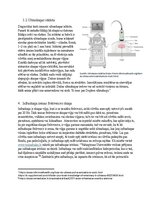 Эссе 'Viļņu fizika un skaņa medicīnā. Ultraskaņa un infraskaņa medicīniskajā diagnosti', 4.