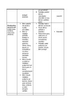 Отчёт по практике 'Pirmsskolas skolotāja pedagoģiskā prakse pirmsskolas izglītības iestādē “x”', 17.