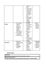 Отчёт по практике 'Pirmsskolas skolotāja pedagoģiskā prakse pirmsskolas izglītības iestādē “x”', 22.