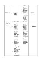 Отчёт по практике 'Pirmsskolas skolotāja pedagoģiskā prakse pirmsskolas izglītības iestādē “x”', 24.