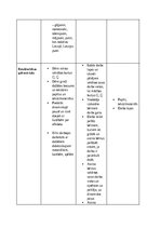 Отчёт по практике 'Pirmsskolas skolotāja pedagoģiskā prakse pirmsskolas izglītības iestādē “x”', 25.