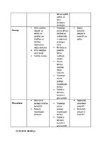 Отчёт по практике 'Pirmsskolas skolotāja pedagoģiskā prakse pirmsskolas izglītības iestādē “x”', 26.