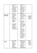 Отчёт по практике 'Pirmsskolas skolotāja pedagoģiskā prakse pirmsskolas izglītības iestādē “x”', 29.