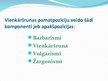 Презентация 'Barbarismi, žargonismi, vulgārismi latviešu valodā', 2.