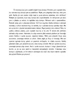 Эссе 'Kaķu durtiņu uzstādīšana', 1.