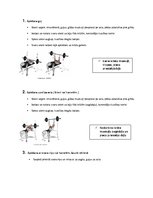 Конспект 'Vingrinājumi tricepsa un krūšu muskultūrai', 1.