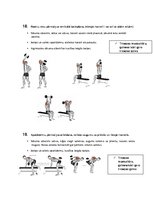 Конспект 'Vingrinājumi tricepsa un krūšu muskultūrai', 10.