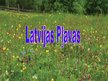 Презентация 'Latvijas pļavas', 1.