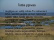 Презентация 'Latvijas pļavas', 12.
