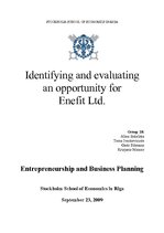Реферат 'Identifying and Evaluating Opportunity for Enefit Ltd.', 1.