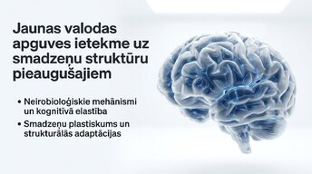 Презентация 'Jaunas valodas apguves ietekme uz smadzeņu struktūru pieaugušajiem', 1.