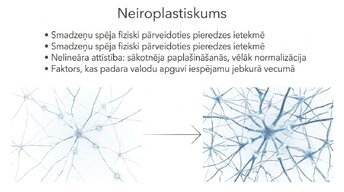 Презентация 'Jaunas valodas apguves ietekme uz smadzeņu struktūru pieaugušajiem', 11.