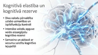 Презентация 'Jaunas valodas apguves ietekme uz smadzeņu struktūru pieaugušajiem', 13.