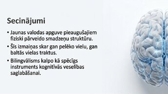 Презентация 'Jaunas valodas apguves ietekme uz smadzeņu struktūru pieaugušajiem', 14.