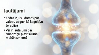 Презентация 'Jaunas valodas apguves ietekme uz smadzeņu struktūru pieaugušajiem', 16.