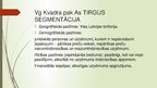 Презентация 'Tirgus segmentācija', 6.