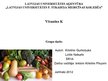 Презентация 'Vitamīns K', 1.