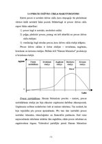 Реферат 'Konkurētspējas noteikšana AS "Hanzas maiznīca" produkcijai', 7.