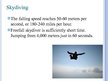 Презентация 'Skydiving', 4.