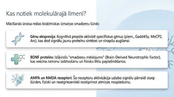 Презентация 'Kā ikdienas mācīšanās paradumi stiprina neiroplastiskumu', 3.