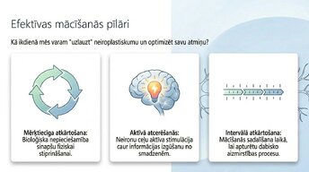 Презентация 'Kā ikdienas mācīšanās paradumi stiprina neiroplastiskumu', 5.