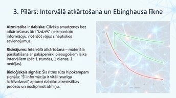 Презентация 'Kā ikdienas mācīšanās paradumi stiprina neiroplastiskumu', 8.