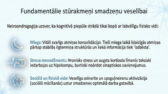 Презентация 'Kā ikdienas mācīšanās paradumi stiprina neiroplastiskumu', 11.
