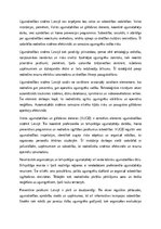 Эссе 'Ugunsdrošības sistēma Latvijā', 2.