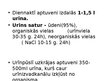 Презентация 'Urinīzvadoragānu sistēma', 14.