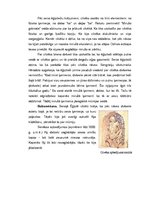Реферат 'Senās Ēģiptes mitoloģija, reliģija, māksla, arhitektūra un zinātne. Pirmā daļa', 15.