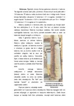Реферат 'Senās Ēģiptes mitoloģija, reliģija, māksla, arhitektūra un zinātne. Pirmā daļa', 30.
