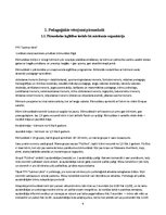 Отчёт по практике 'Agrīnā bērnības pedagoģiskā prakse', 4.