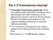 Презентация 'X hromosomas trisomija', 2.