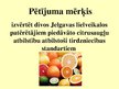 Реферат 'Citrusaugļu kvalitāte Jelgavas lielveikalos', 36.