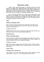 Конспект 'Mana bērna rotaļas', 1.