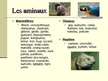 Презентация 'Zoo de la Palmyre', 4.