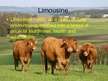 Презентация 'Characterization of Beef Cattle Breeds', 10.